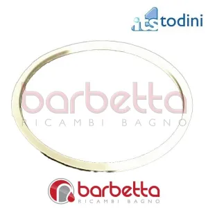 GUARNIZIONE PER FILTRO PER DEPURATORE SEAGULL IV X-1 ITS TODINI 10.54