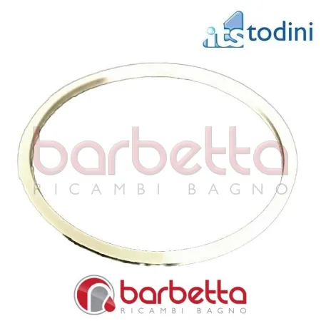 GUARNIZIONE PER FILTRO PER DEPURATORE SEAGULL IV X-1 ITS TODINI 10.54