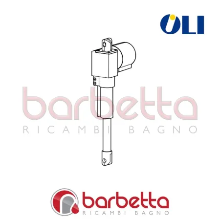 PISTONE IDRAULICO OL0054495