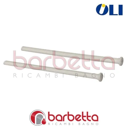VITI FISSAGGIO PLACCA MOON OLI 053897