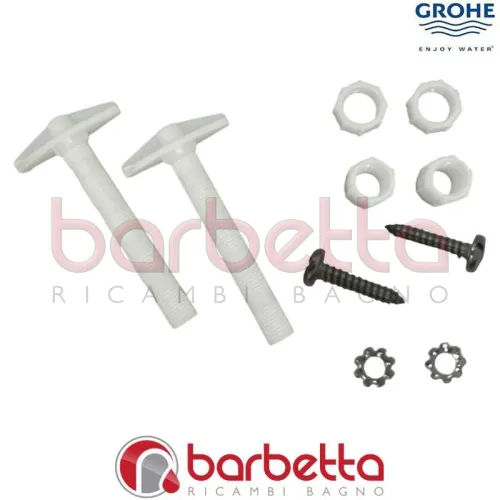 AZIONAMENTO COMPLETO PER PLACCHE 37053 GROHE 43520