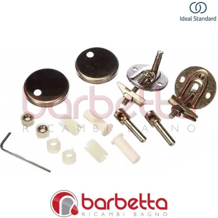 COPPIA CERNIERE RICAMBIO IDEAL STANDARD T2071BJ
